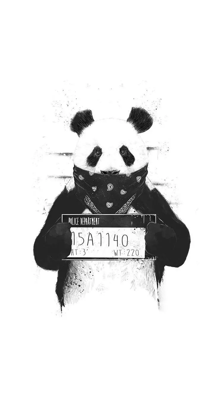 Black and white background of panda for iPhone owners