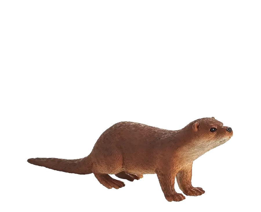 Download completely free otter wallpaper PNG for printing stickers