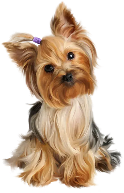 Stock photo of digital dog painting Furry and domestic