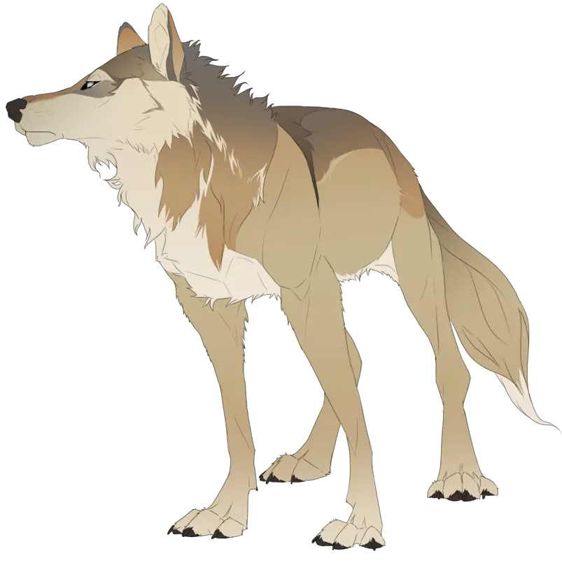 Cartoon Jackal Background Image in PNG format without background