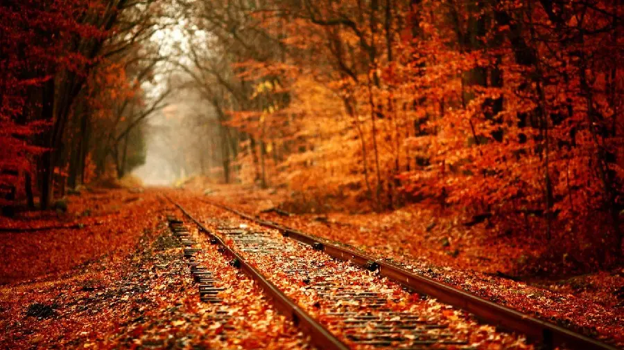 Photo of train tracks in the autumn meadow with orange and golden yellow leaves