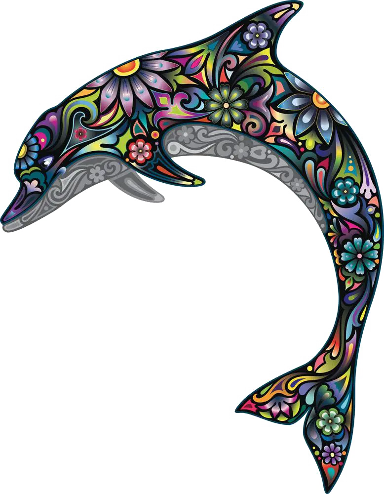 Dolphin