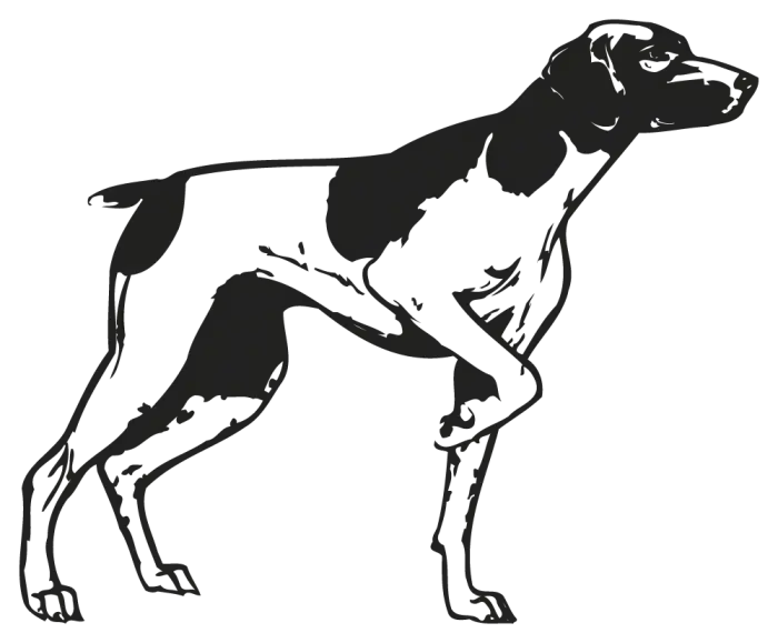 Free Download of All Types of Black and White Dog Drawing PNG Images