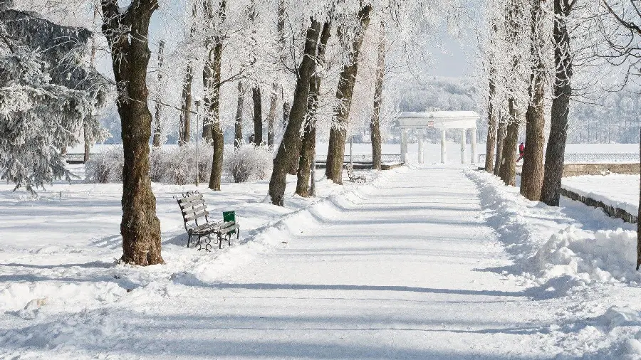 Download Snow-Covered Road Wallpaper for Desktop