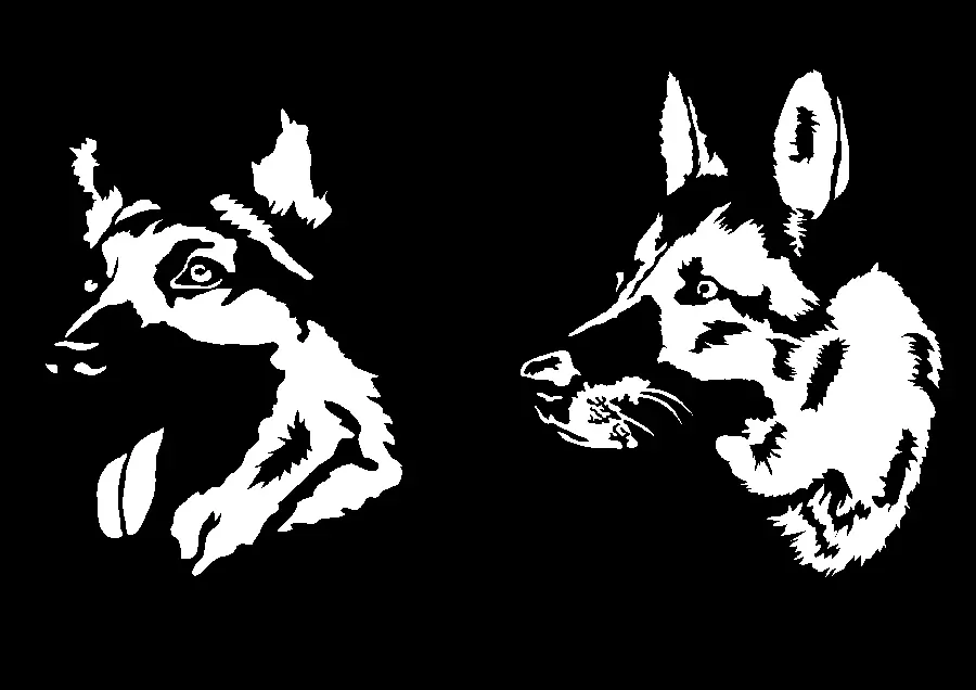 Download Black and White Dog Painting Wallpaper on Transparent Background PNG