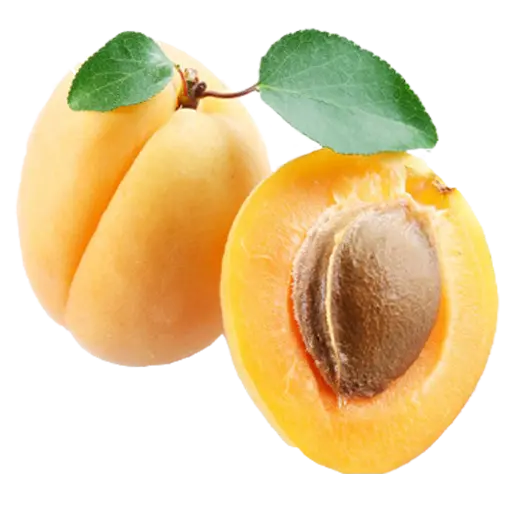 Free Download PNG Images Apricot for Design and Printing