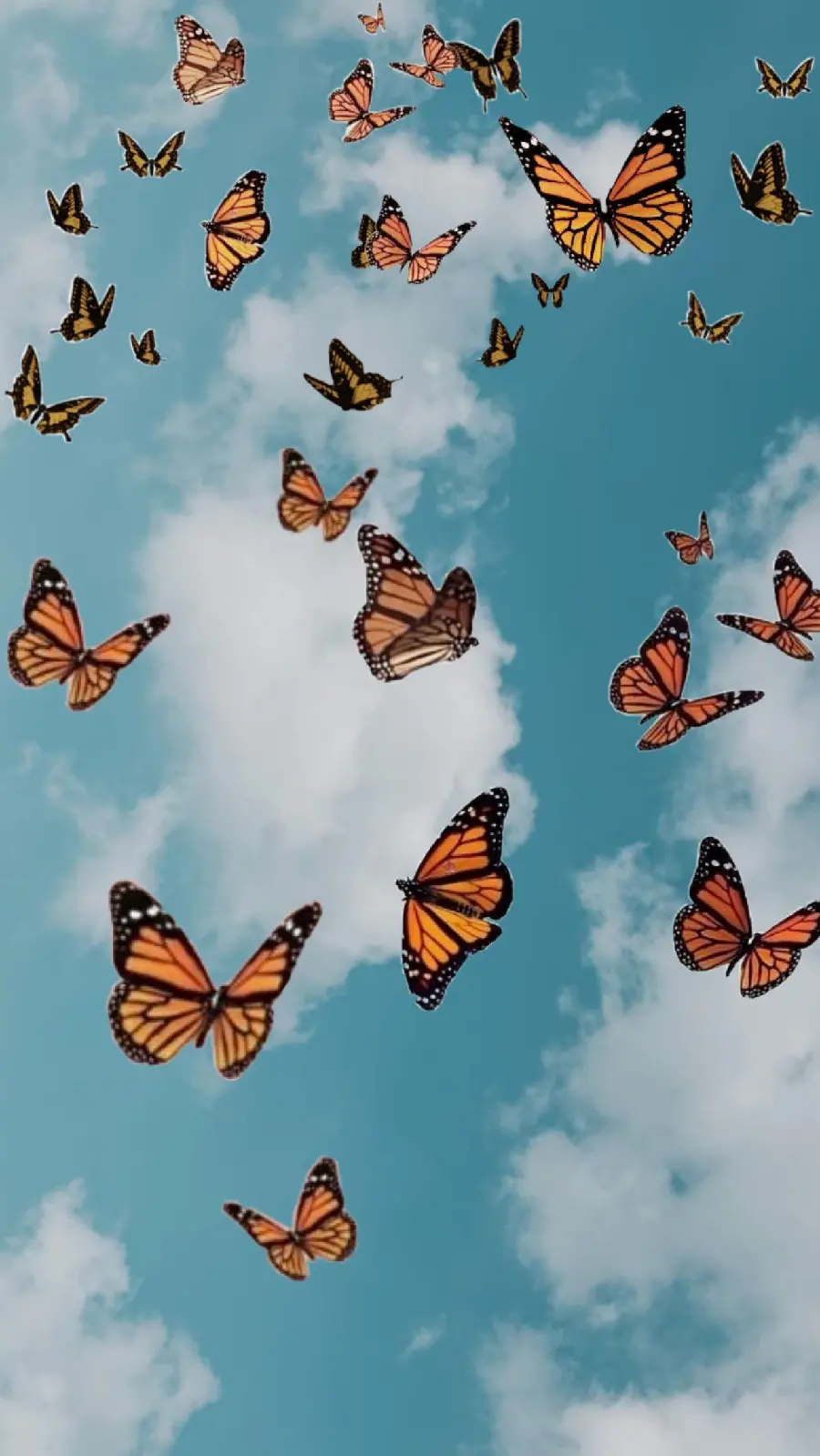 Beautiful and FULL HD collection of images with pastel butterfly designs