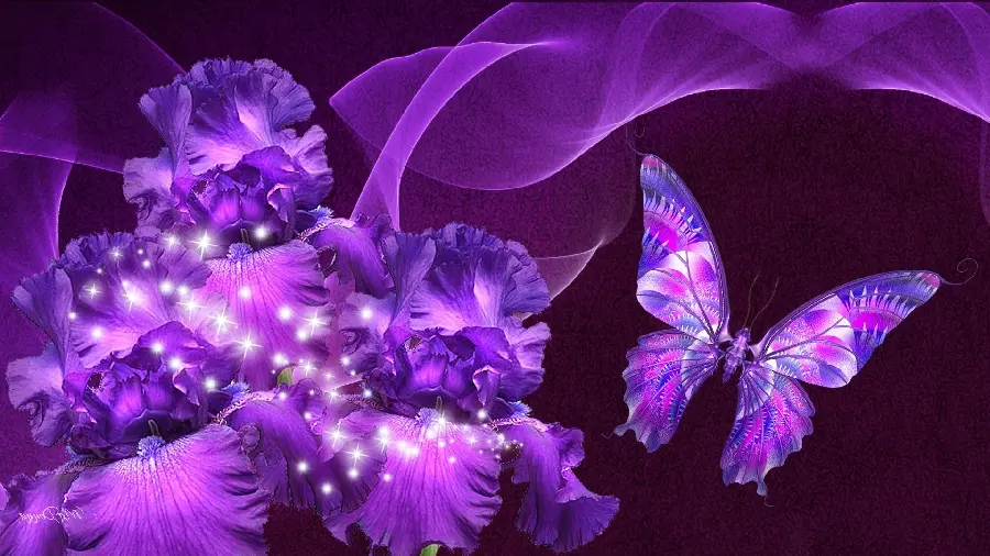 Background Photo for Digital Screens of Purple Butterfly