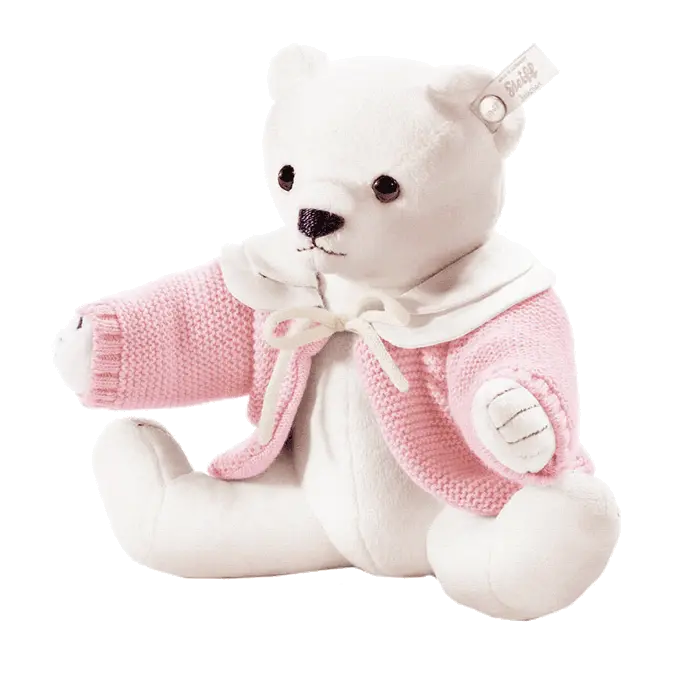 Soft White Teddy Bear Girl Profile Picture PNG