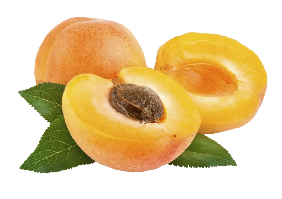 Download Apricot PNG Images for Online Content Design Professional Graphic Rogues