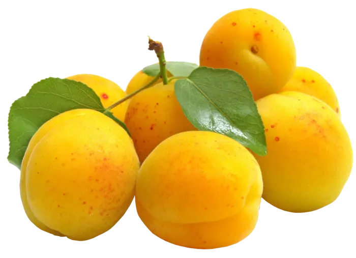 Yellow Plum in png format