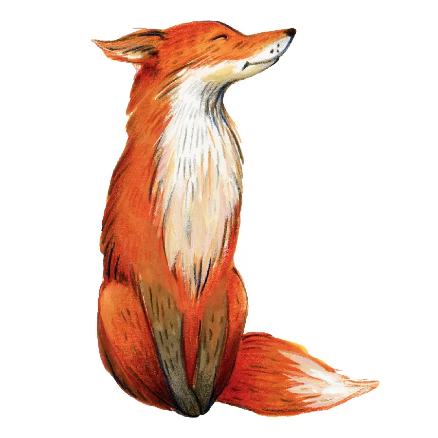 Very beautiful wallpaper of real fox PNG with excellent quality 