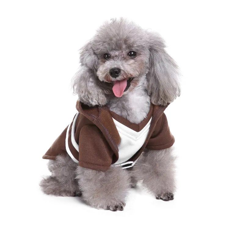 Cute Real Dog Backgrounds of Noisy Grey Pug Breed PNG