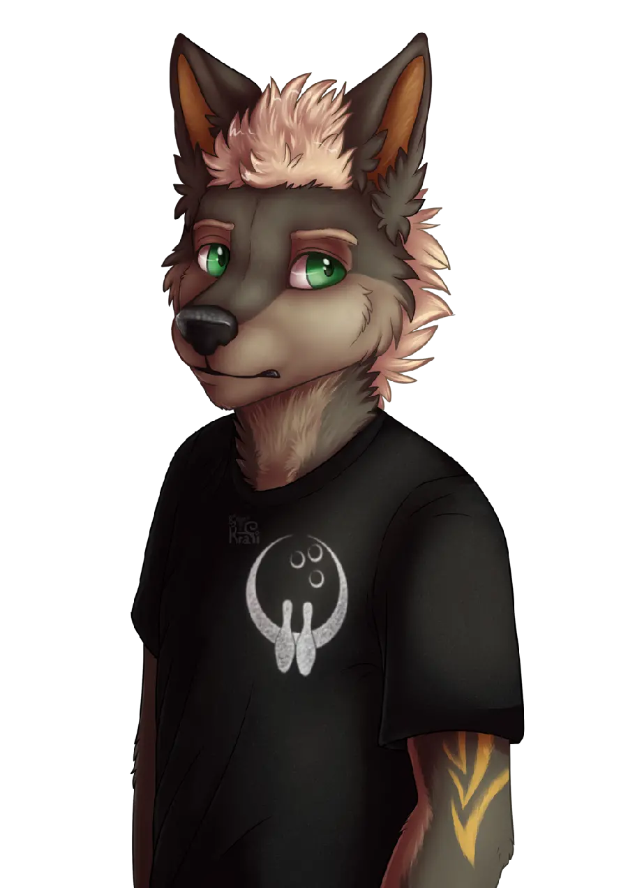 Stylish boy's profile photo and Cool with cartoon wolf design