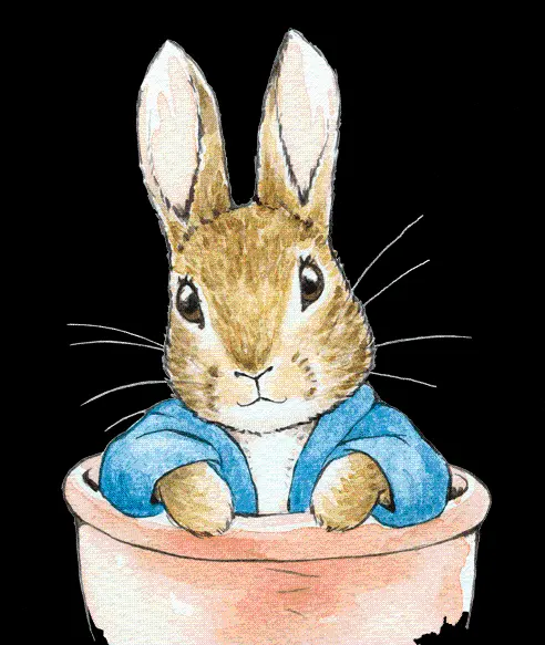 Background of Peter Rabbit's Tales Painting as PNG File
