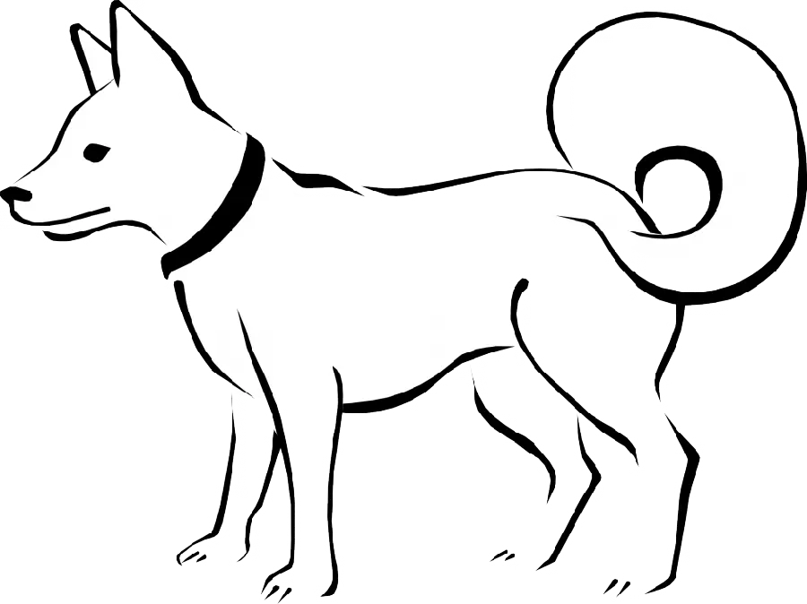 Download black and white dog drawing image for profile in PNG format