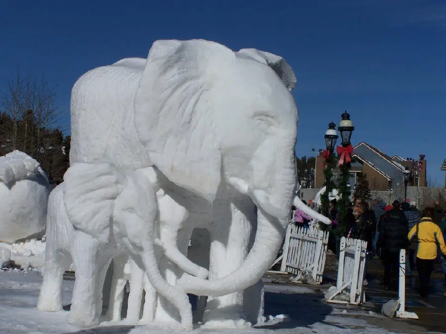 Download High Resolution Ice Sculpture Images for Special Projects