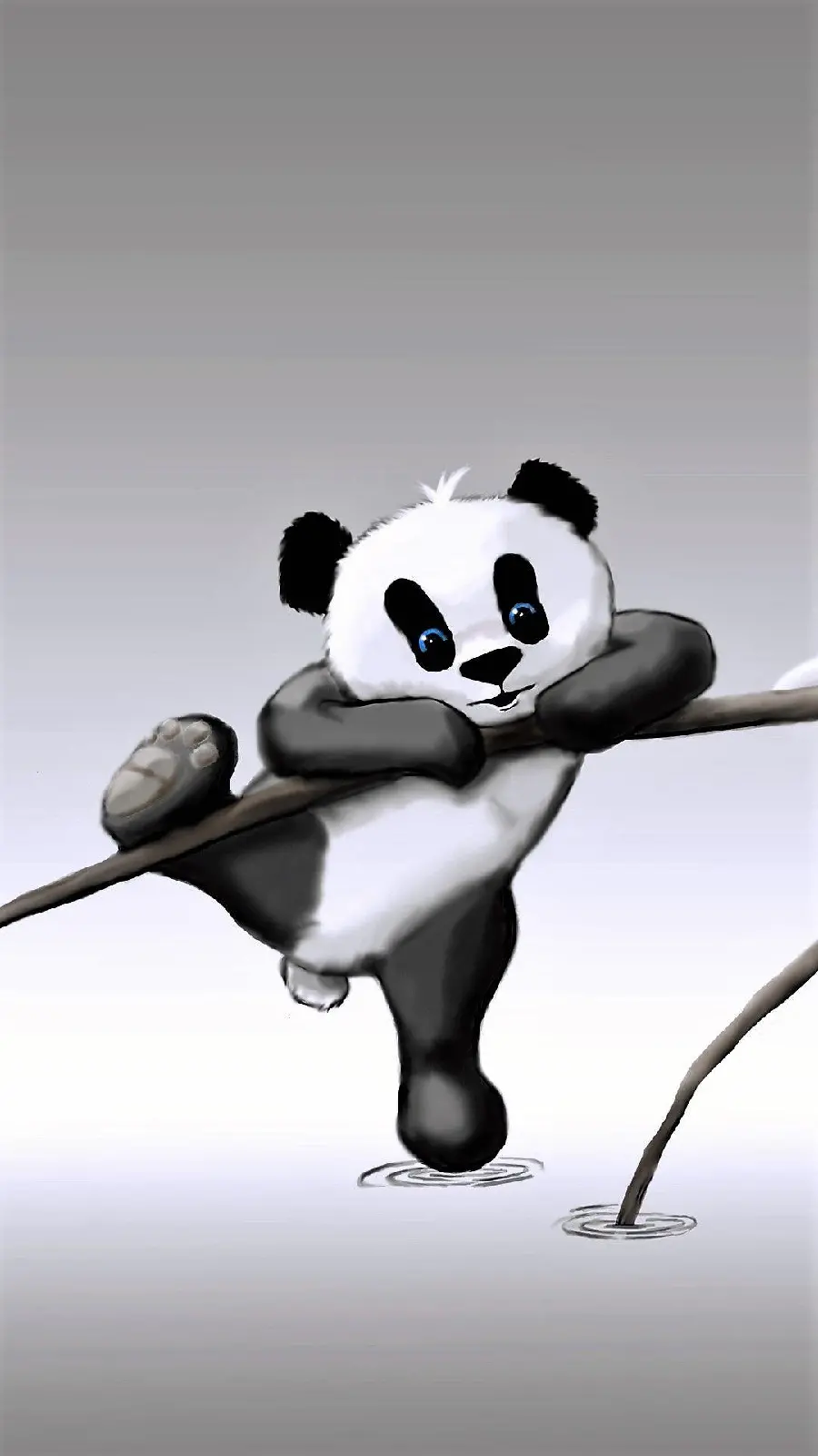 Download high-quality photos for iPhone with a panda design