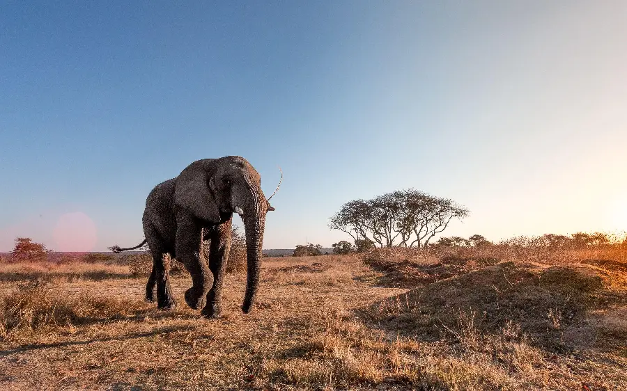 Download stock photo image walking in the desert and deserts of Africa