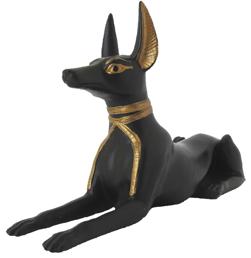 Black Jackal Statue Background Image as PNG File