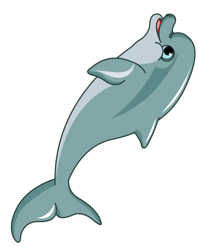 Dolphin without background for business card design