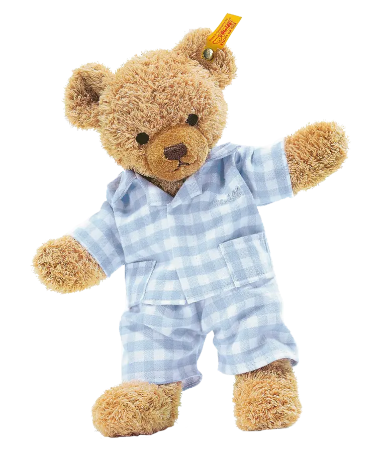Detailed Stock Image of Teddy Bear Boy PNG