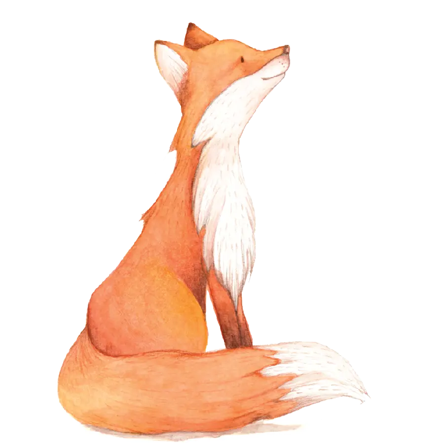Download completely free stock image of real fox PNG