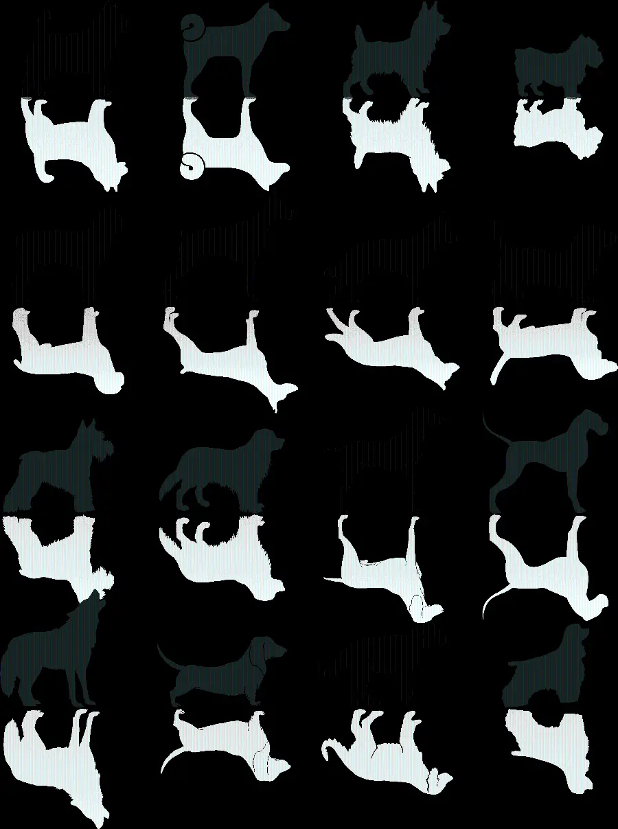 Stock image of various breeds of dogs with black and white drawing design PNG