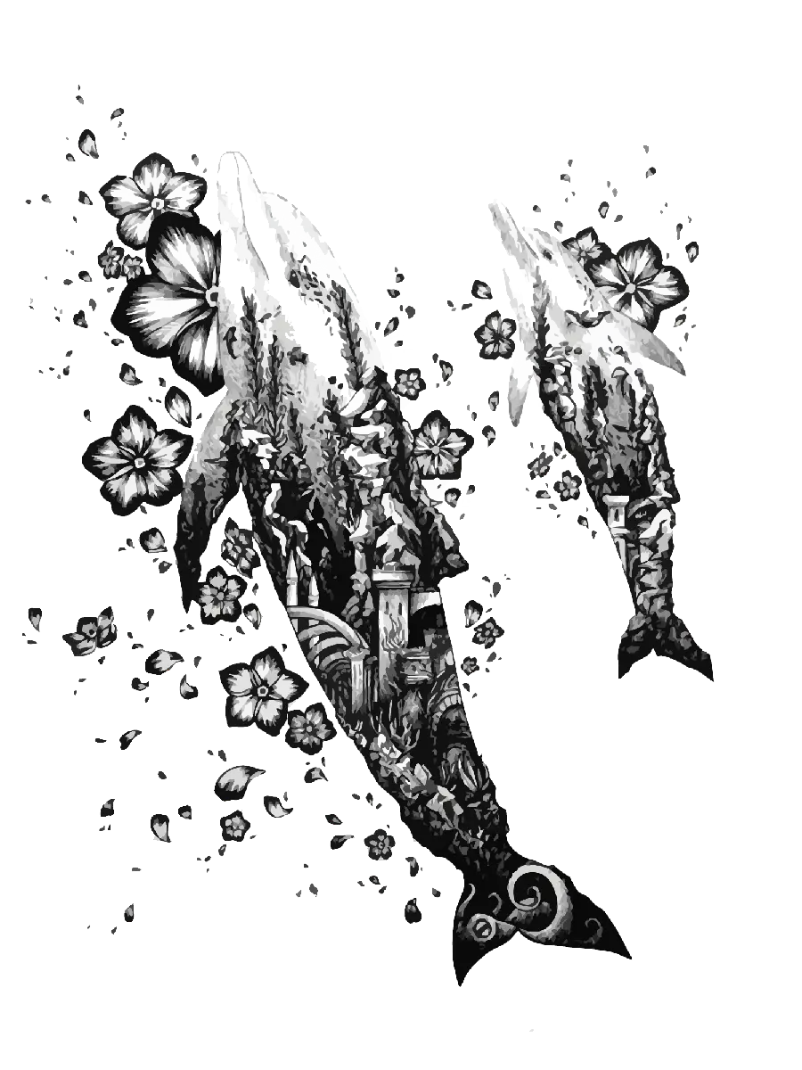 Transparent Dolphin PNG Images
