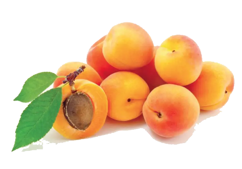 Free Download Apricot PNG Images for Design