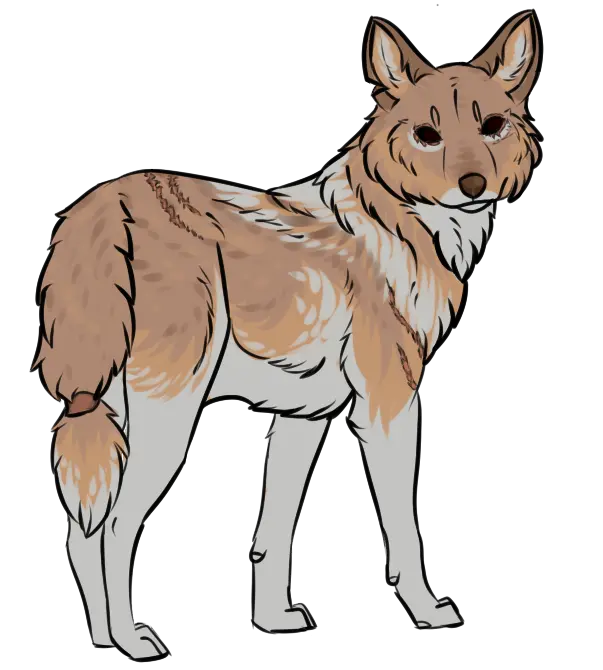 Download background with jackal design for printing in books PNG