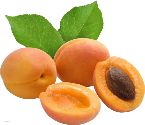 Download Free Yellow Apricot Background Image