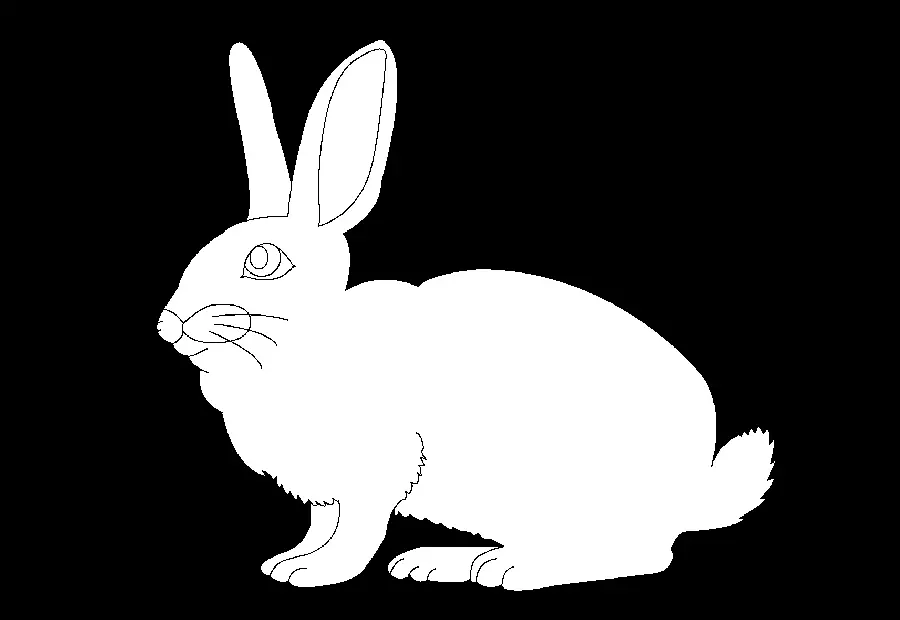Cool Rabbit Drawing Image for PNG Profile