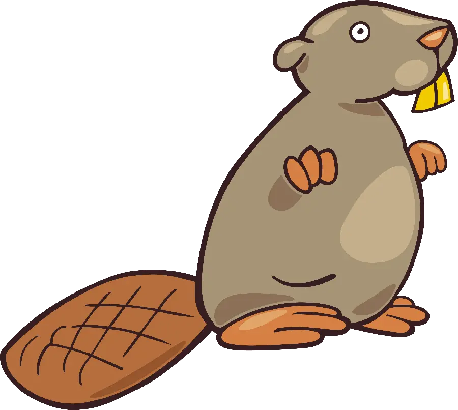 Special and interesting profile picture of Beaver PNG for WhatsApp