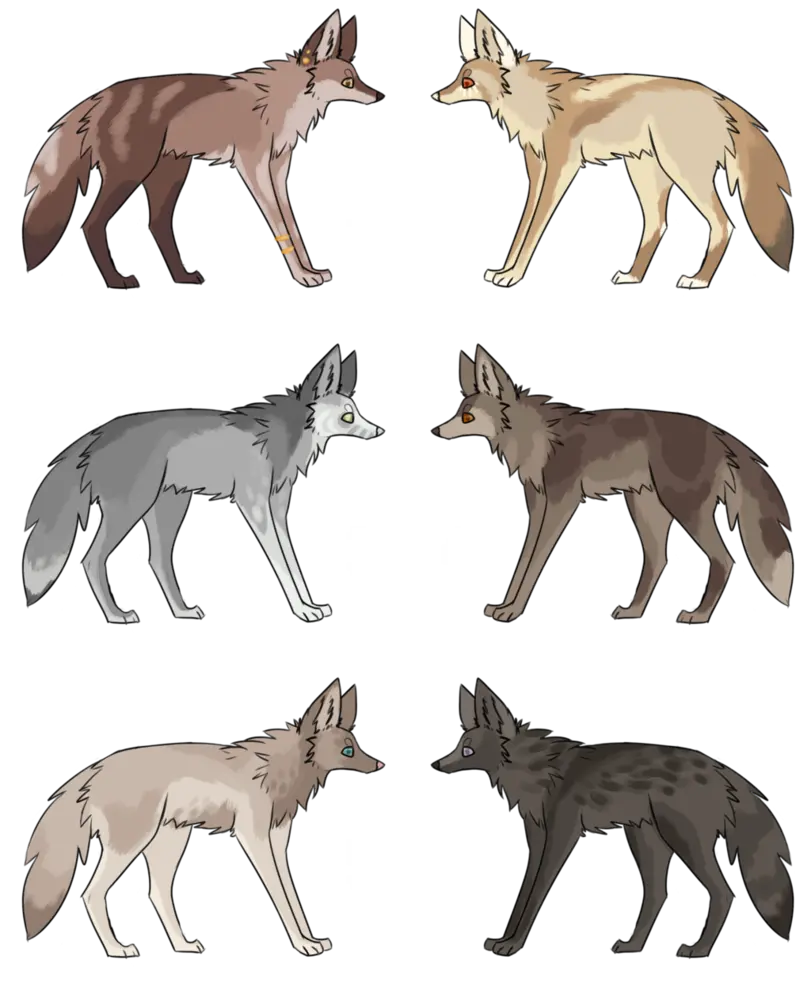 Real Wolf Wallpaper for Photoshop