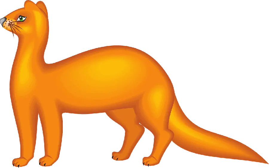 Download photos with different and beautiful designs of otters PNG