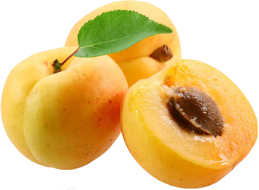 Apricot PNG Images for Graphic Design with Transparent Background