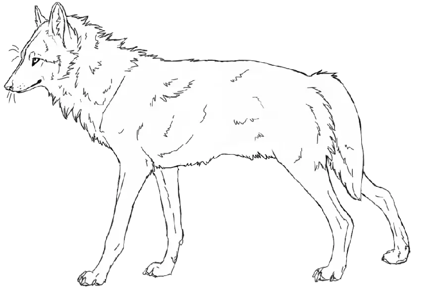 Painting photo inspired by real wolf PNG with direct download link 