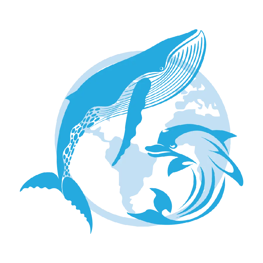 Dolphin PNG images suitable for logo