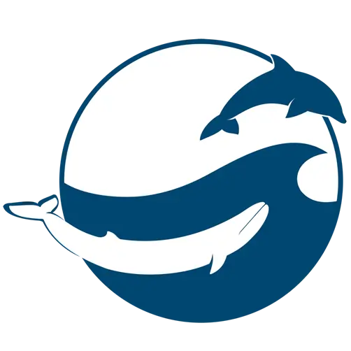 Dolphin PNG image for design