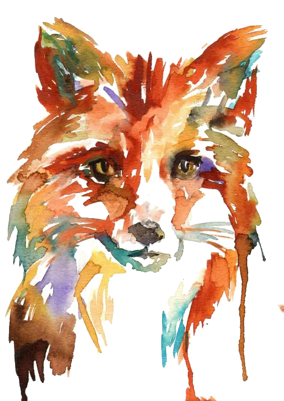 Awesome watercolor painting photo of fox in high quality