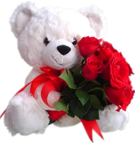 Download the Best Quality Teddy Bear Background Image PNG