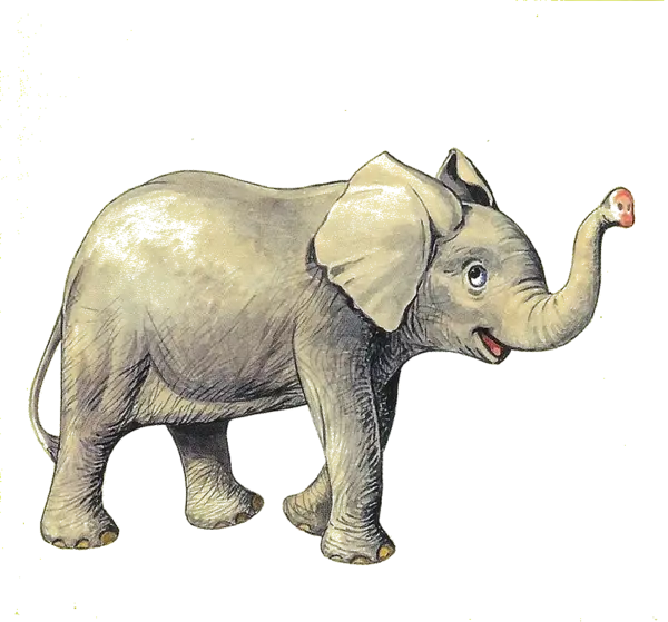Simple and Colorful Cartoon Elephant for Graphic Design