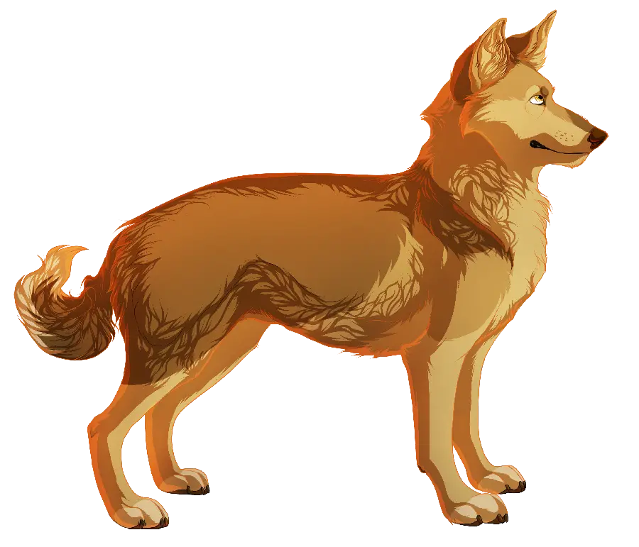 PNG Backgroundless Dingo Graphic