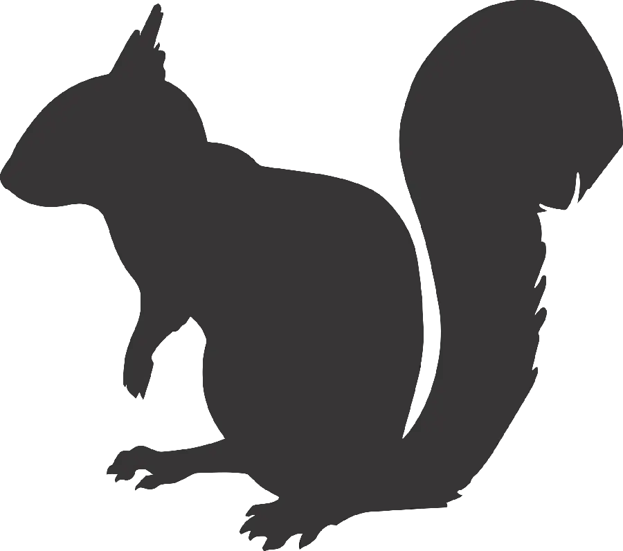 Download a picture of a squirrel's shadow for easy drawing