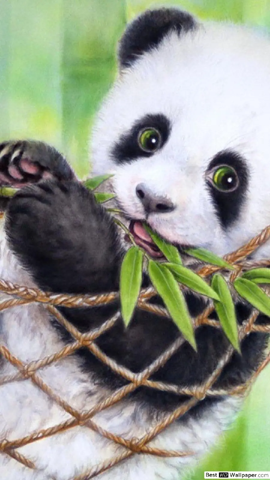 Cute baby panda drawing photo and bank for iPhone background