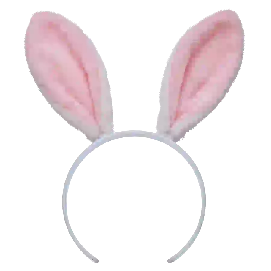 Wallpaper of a rabbit drawing with pink ears for girls PNG
