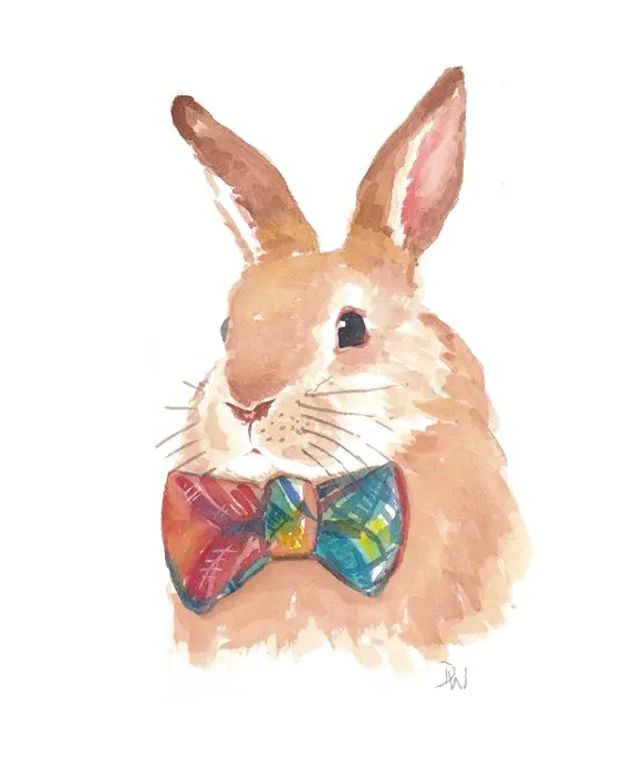 Rabbit Drawing Profile Picture for Insta and WhatsApp PNG