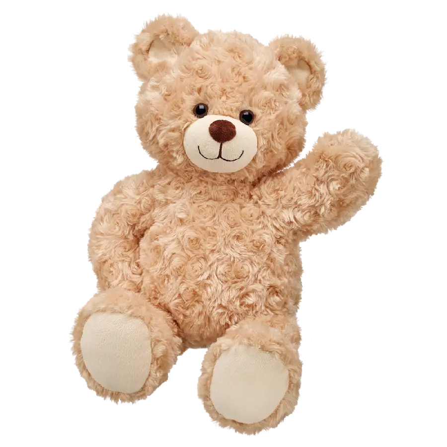 Profile Picture For social networks of teddy bear PNG