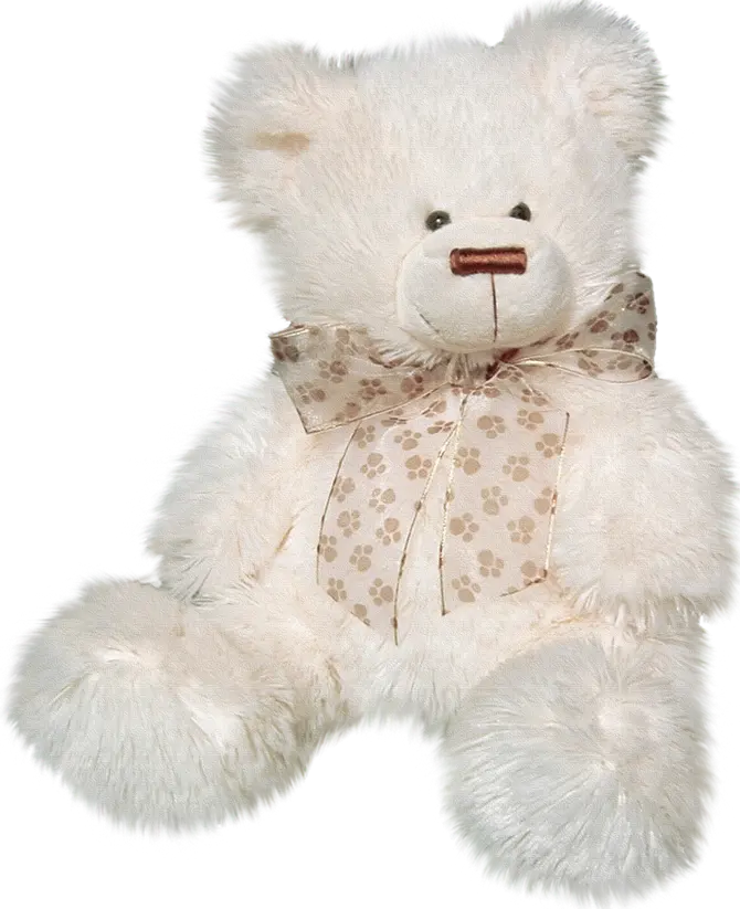 Wallpaper without background of white and lovely teddy bear PNG